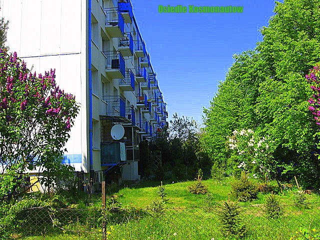 blok12ipiknewiosenneroliny.jpg
